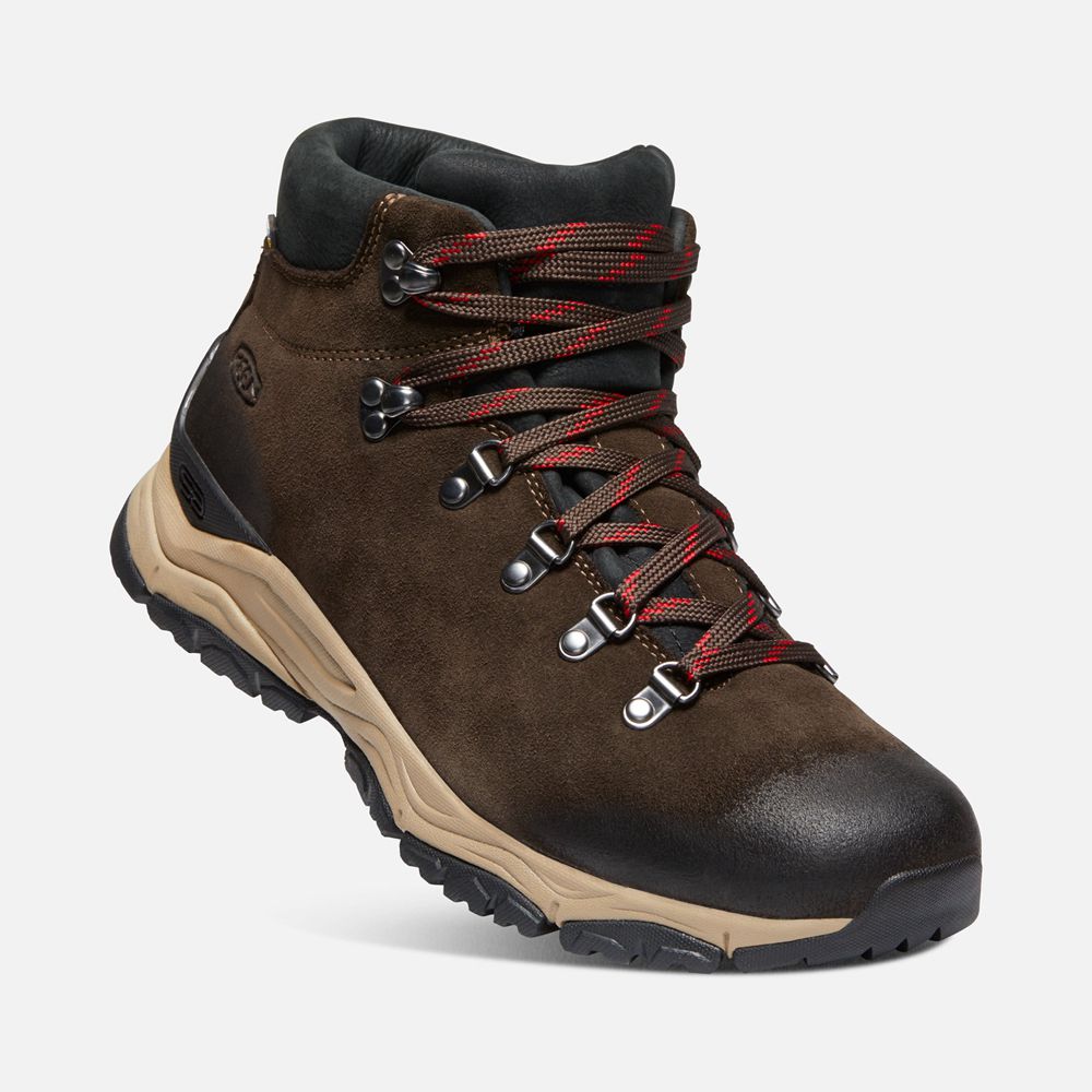 Bottes de Randonnée Keen Homme Marron | Feldberg Apx Waterproof | IESPX-1923